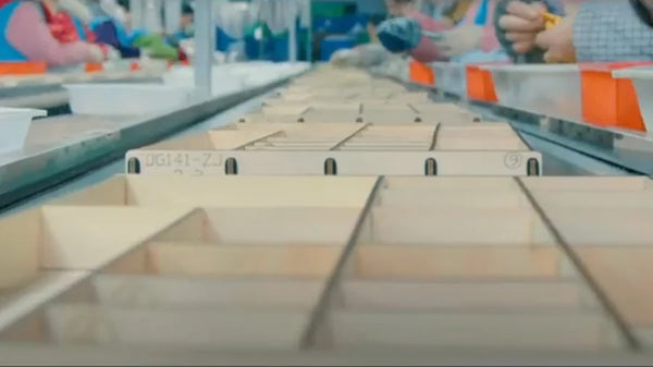 Op bezoek bij de productielijn van Robotime