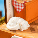 Robotime The Muse Bookshop DS040