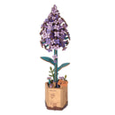 Robotime Lilac / Seringenbloem TW021