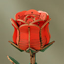 Robotime Red Rose / Rose Rouge TW042
