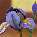 Robotime Purple Iris / Paarse Iris TW121