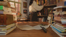 Atmospheric video presentation of the Robotime Sam’s Study, DIY miniature house of a cozy bookstore