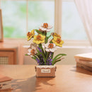 Atmospheric video presentation of the Robotime Narcissus, wooden construction kit of yellow and white spring flowers