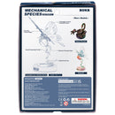 Back of package of the Robotime Butterfly (Blue), electric construction kit of a blue butterfly that can flap its wings, on a blue flower