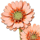 Close-up of two of the flowers of the Robotime Light Orange Gerbera