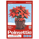 Front of package of the Robotime Poinsettia, wooden construction set of a Christmas flower