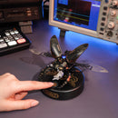A person uses the touch button to activate the Robotime Storm Beetle