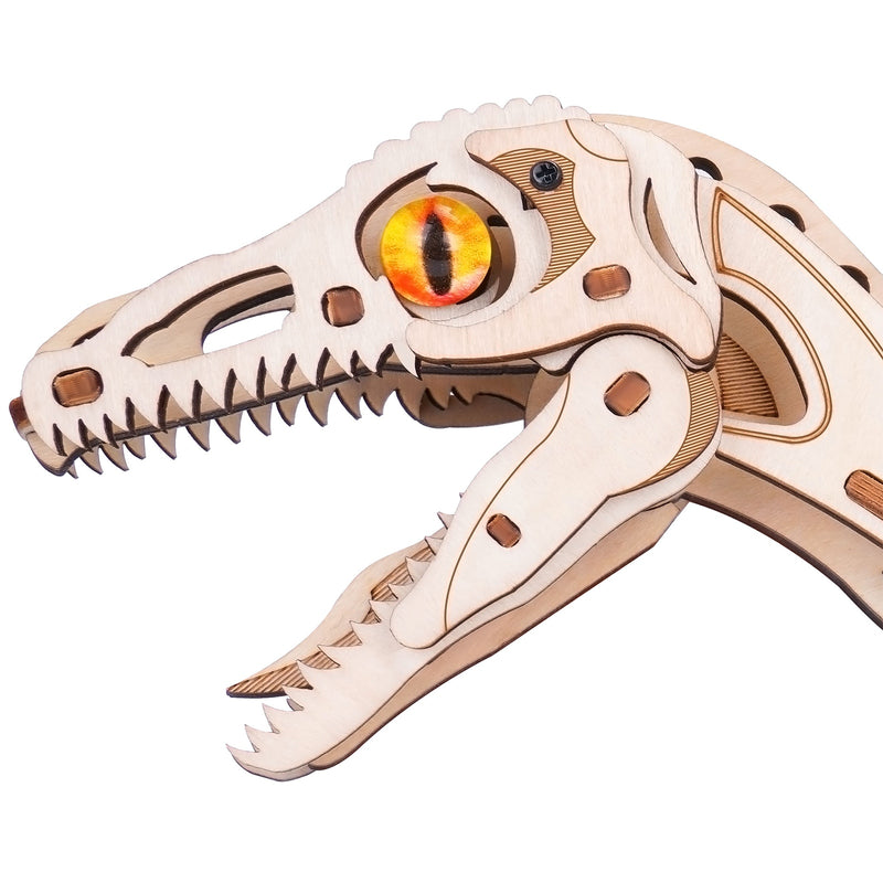 The head of the Robotime Velociraptor