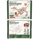Front and back of package of the Robotime Velociraptor, wooden construction set of a walking dinosaur